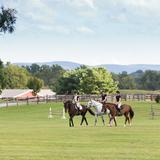 Foxcroft School Photo #4 - Riding Lessons
